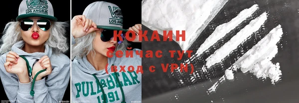 дживик Арсеньев