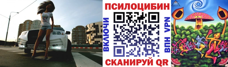 blacksprut как войти  Суворов  Галлюциногенные грибы Psilocybe 
